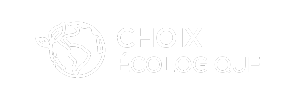 Choix écologique